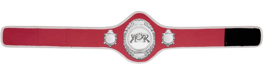 GRAPPLING CHAMPIONSHIP BELT-PRO286/S/GRAPPS-10+ COLOURS